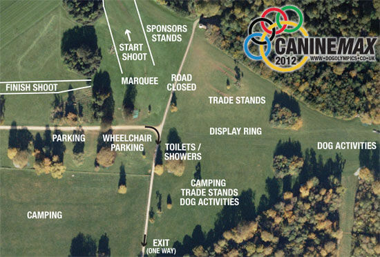 Canine Max Dog Olympics